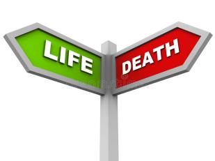 Life death